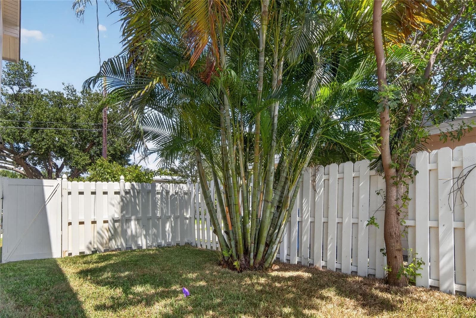 Single Family Residence at 1494 85TH AVE N, ST PETERSBURG, photo 80 of 99