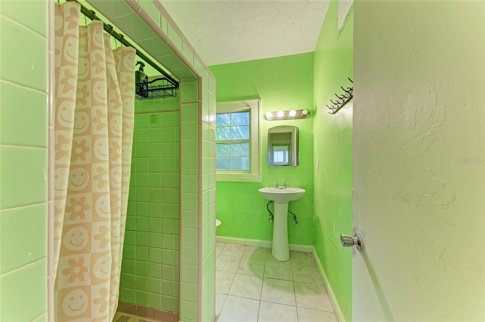 Single Family Residence at 1005 16TH AVE S, ST PETERSBURG, photo 32 of 54