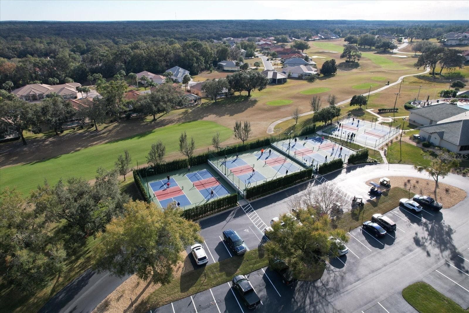 Aerial of Amenities - 546 W FENWAY DR, HERNANDO