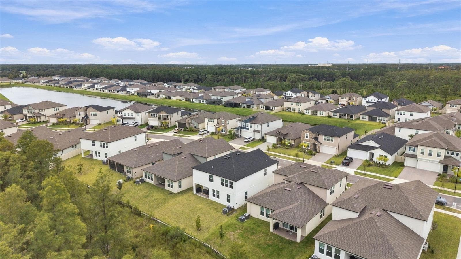 Single Family Residence at 18114 SERENE LAKE LOOP, LUTZ, photo 27 of 29