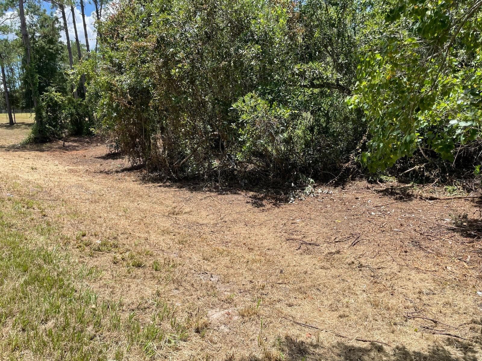 Land at CALHOUN RD, EUSTIS, photo 5 of 11