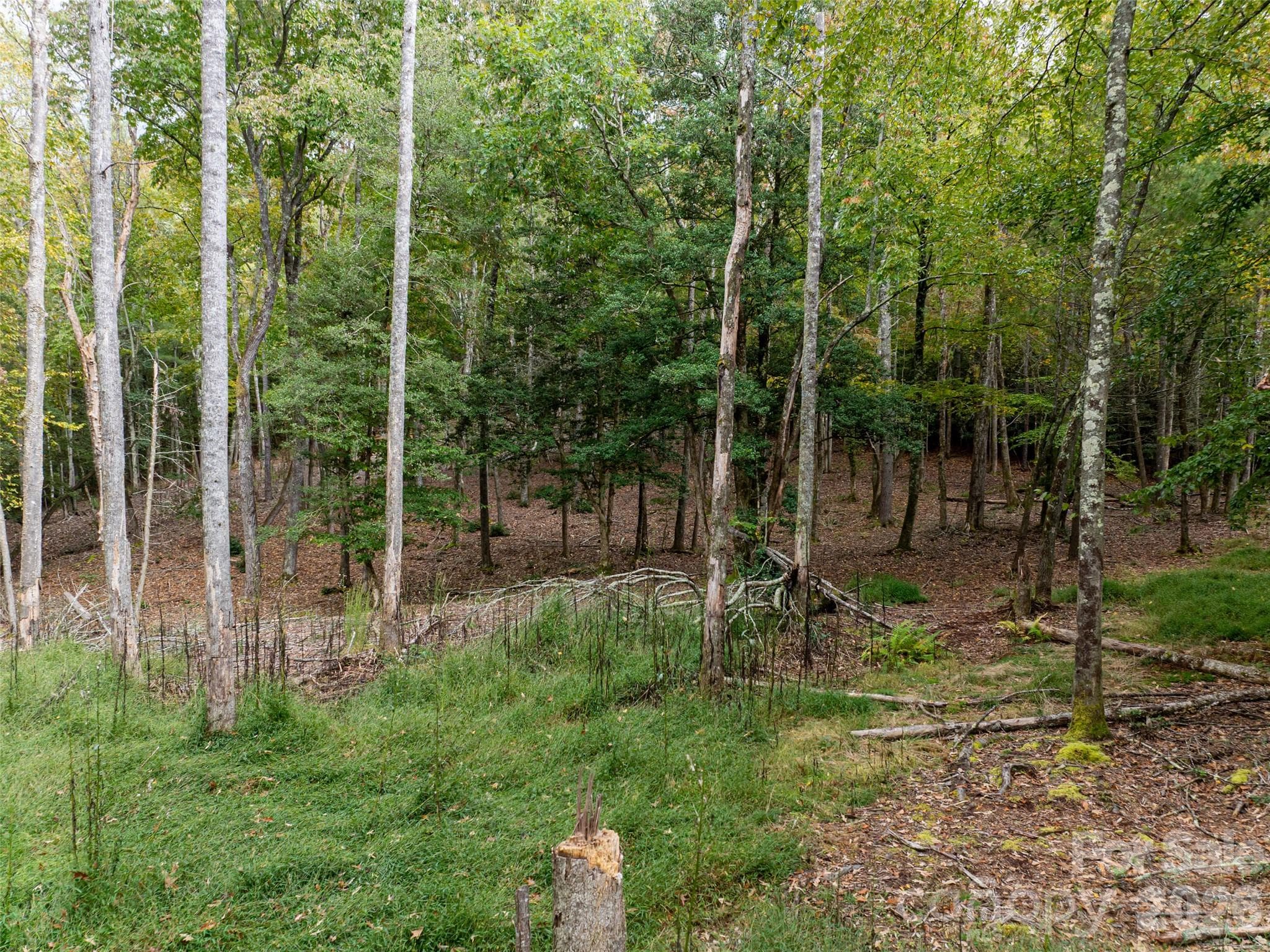 Single Family Residence at 71 Happy Valley Drive, Mills River, photo 80 of 92