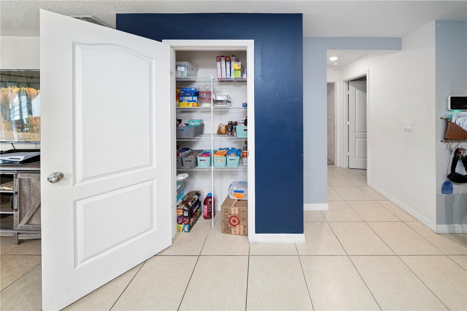 Pantry Storage - 1007 CULBREATH GREEN CT, RUSKIN