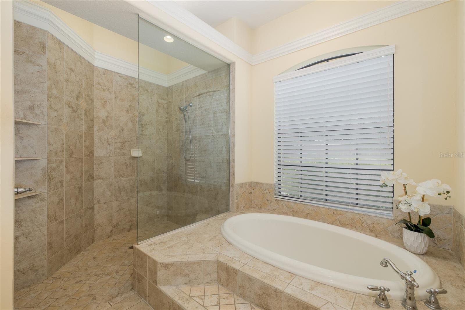 Single Family Residence at 10640 PONTOFINO CIR, TRINITY, photo 22 of 90