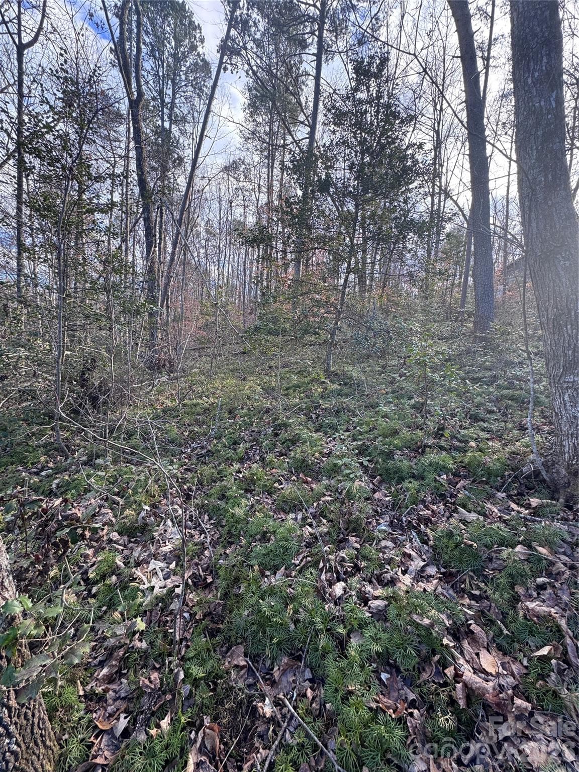 Lot at 0 Hearthstone Drive, Union Mills, photo 9 of 17