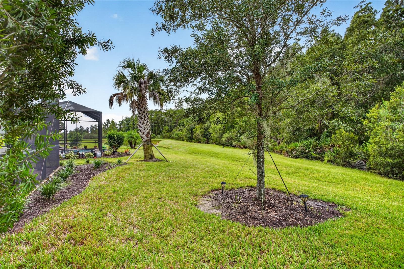 Single Family Residence at 4363 CAIROLI CT, WESLEY CHAPEL, photo 22 of 28