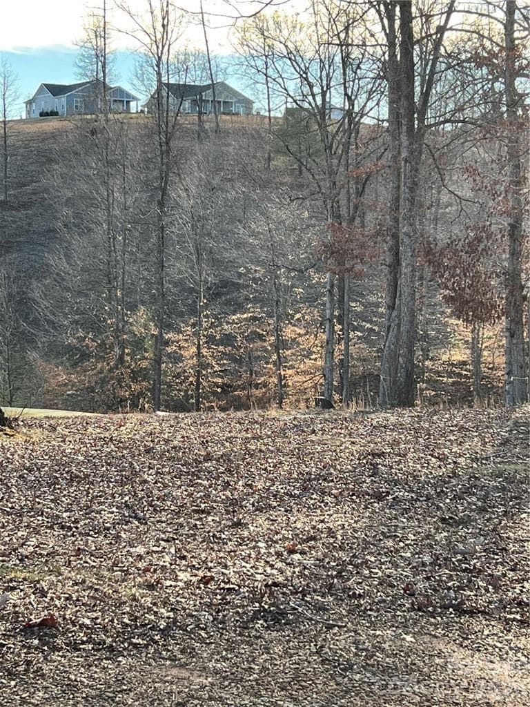 Lot at Morganton, photo 2 of 20