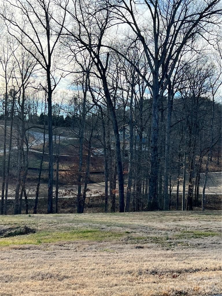 Lot at Morganton, photo 2 of 20