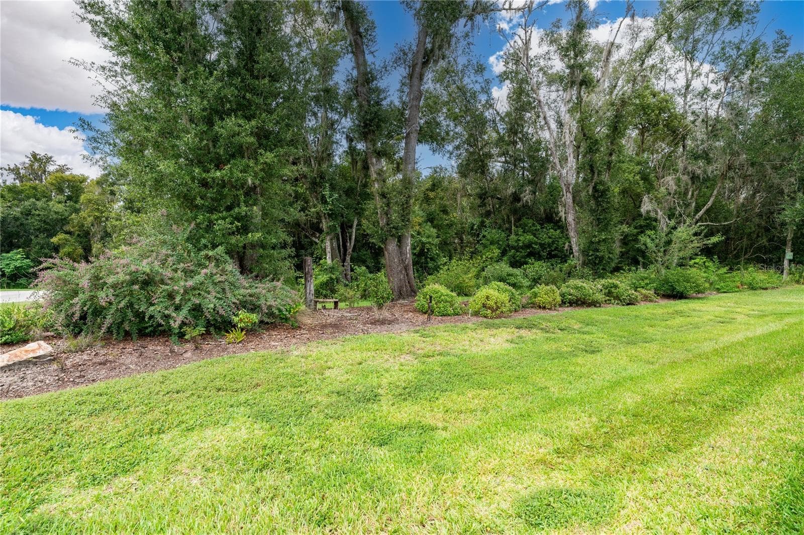 Peaceful wooded view - 13303 TRAILING MOSS DR, DADE CITY