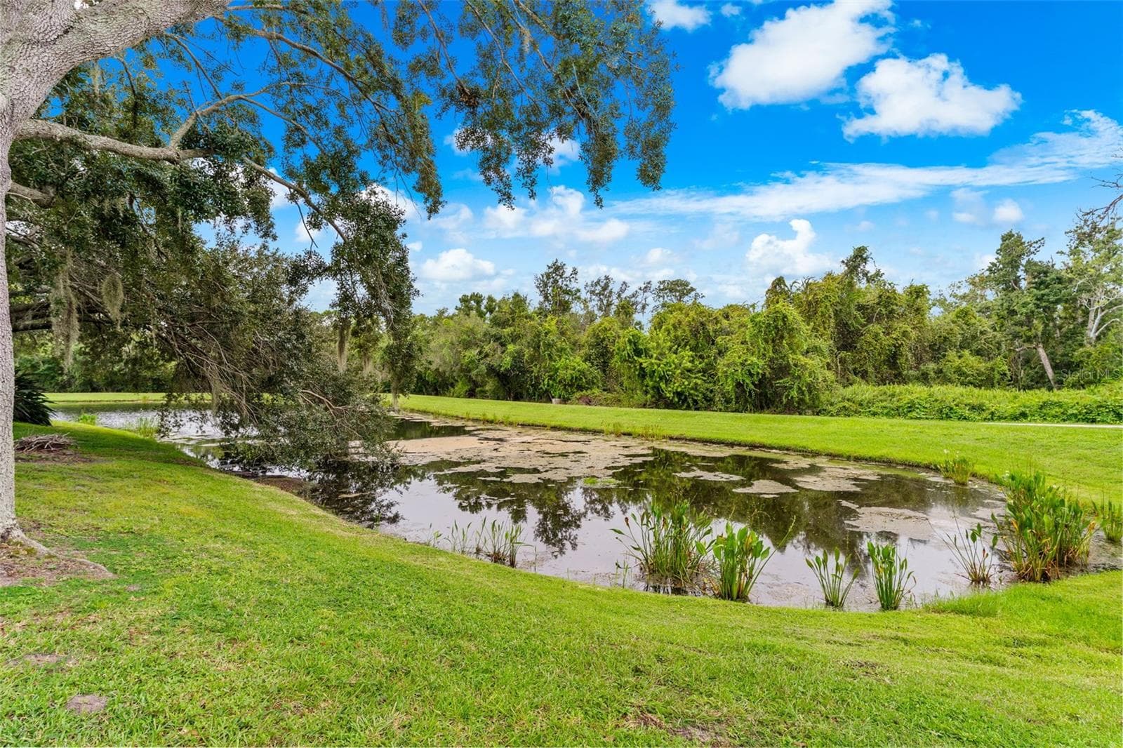 Single Family Residence at 6462 GOLDEN LEAF CT, LAKEWOOD RANCH, photo 34 of 35