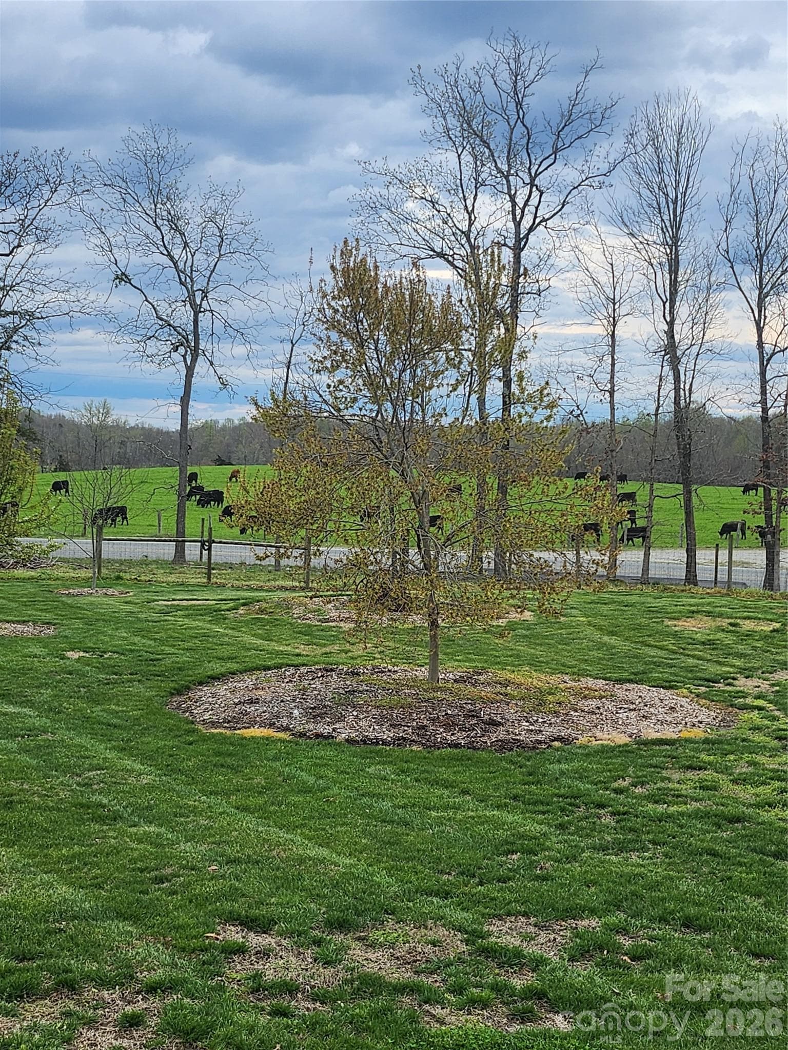 VIEW - 5410 Tobacco Road, Trinity