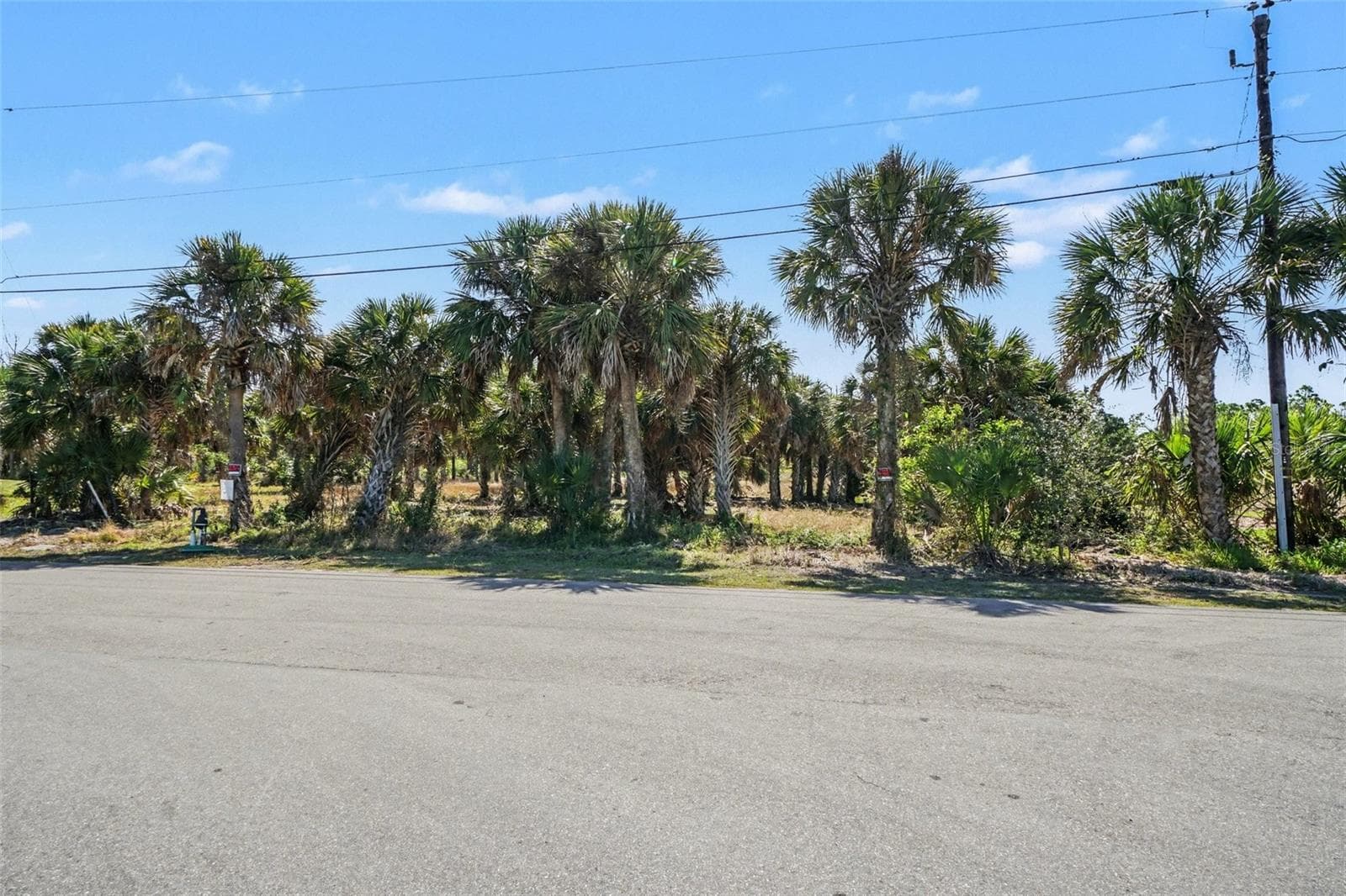 Land at 24383 JEAN LA FITTE BLVD, PUNTA GORDA, photo 2 of 17