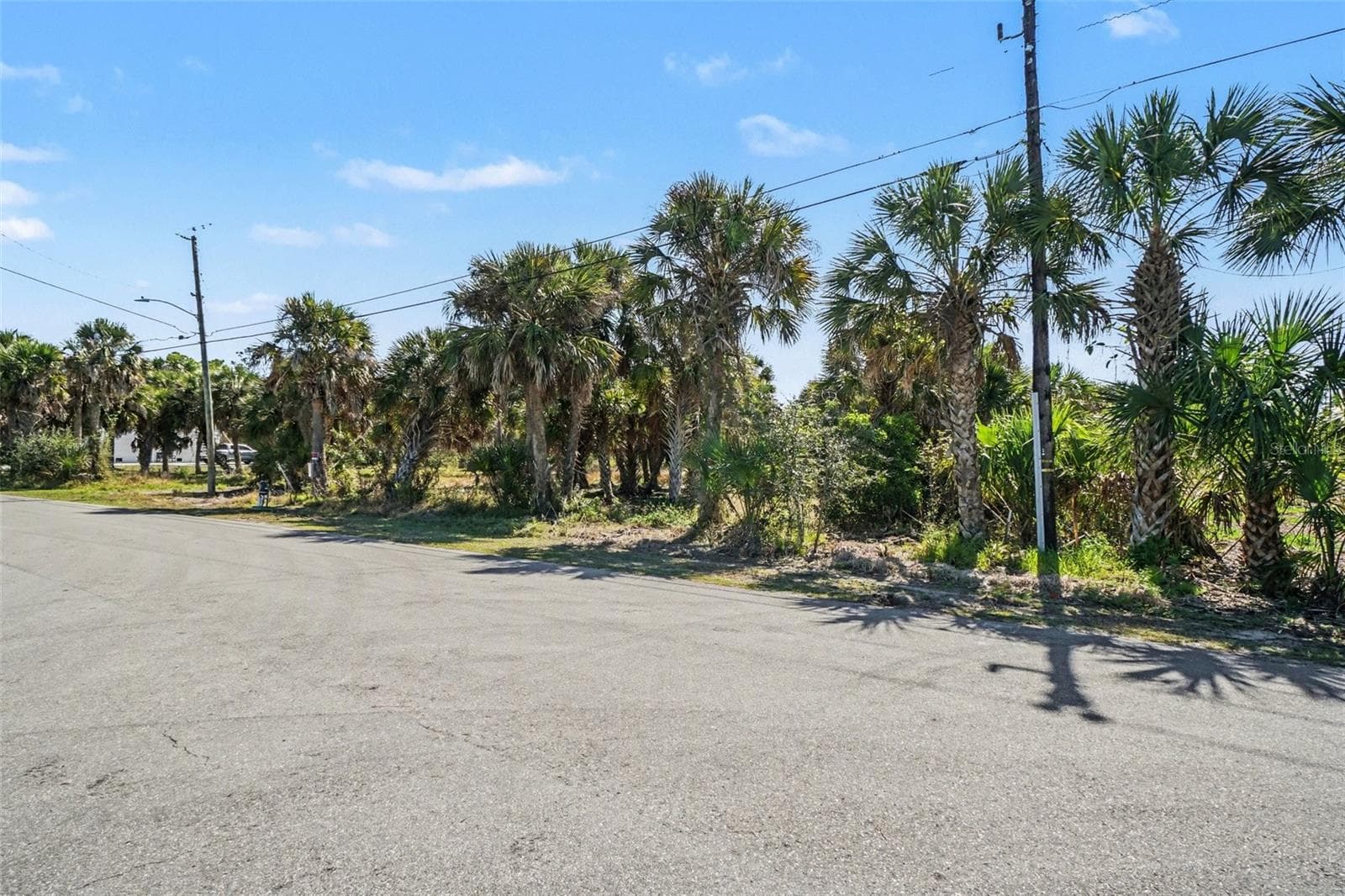 Land at 24383 JEAN LA FITTE BLVD, PUNTA GORDA, photo 6 of 17