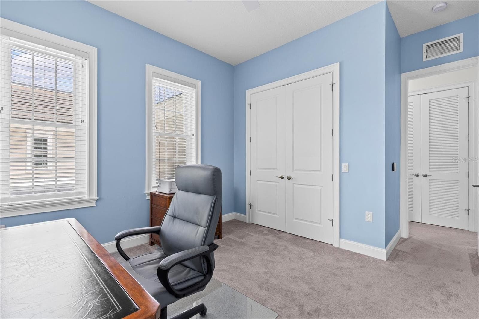 Large built-in closet - 480 GILMAN PL N, ST PETERSBURG