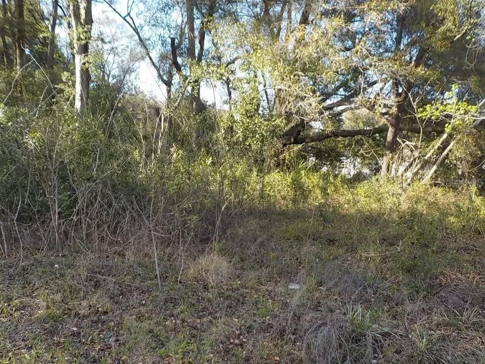 0 SE 139TH LN #LOT 43