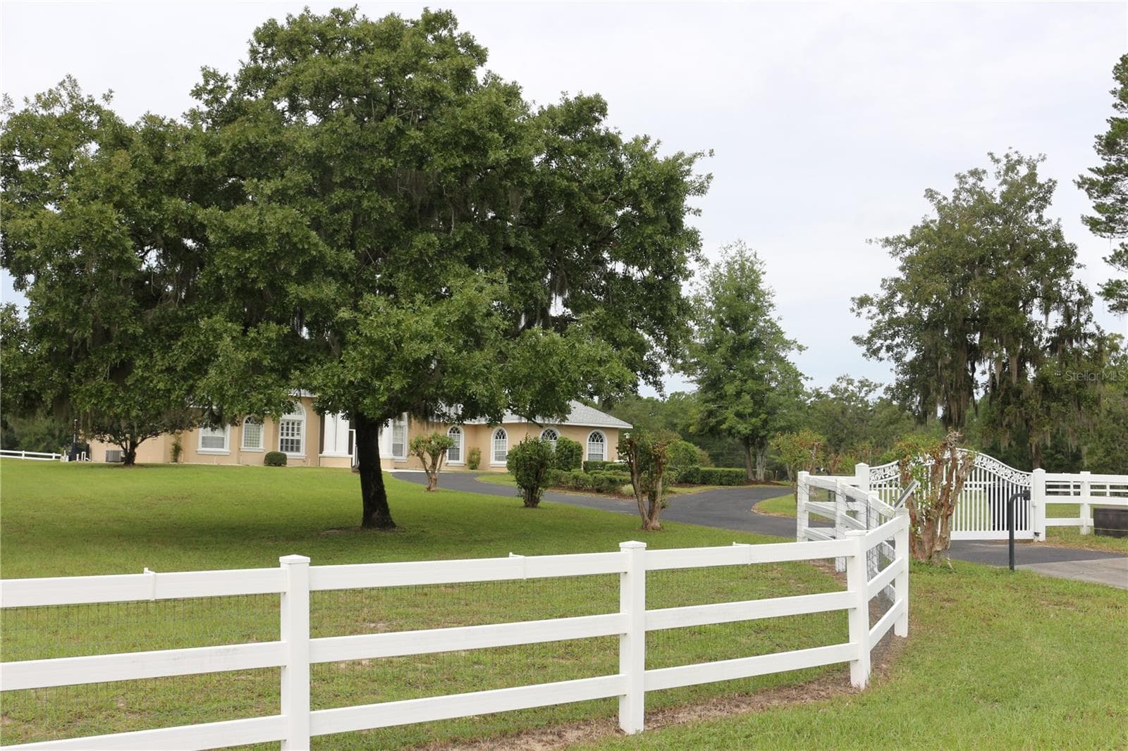 Classic white fencing enhances the beauty of the expansive pastures - 6722 W SENTINEL BLUFF PATH, BEVERLY HILLS