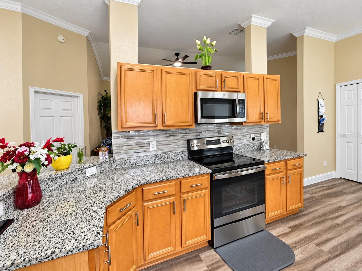 Single Family Residence at 527 DUNOON ST, OCOEE, photo 2 of 18