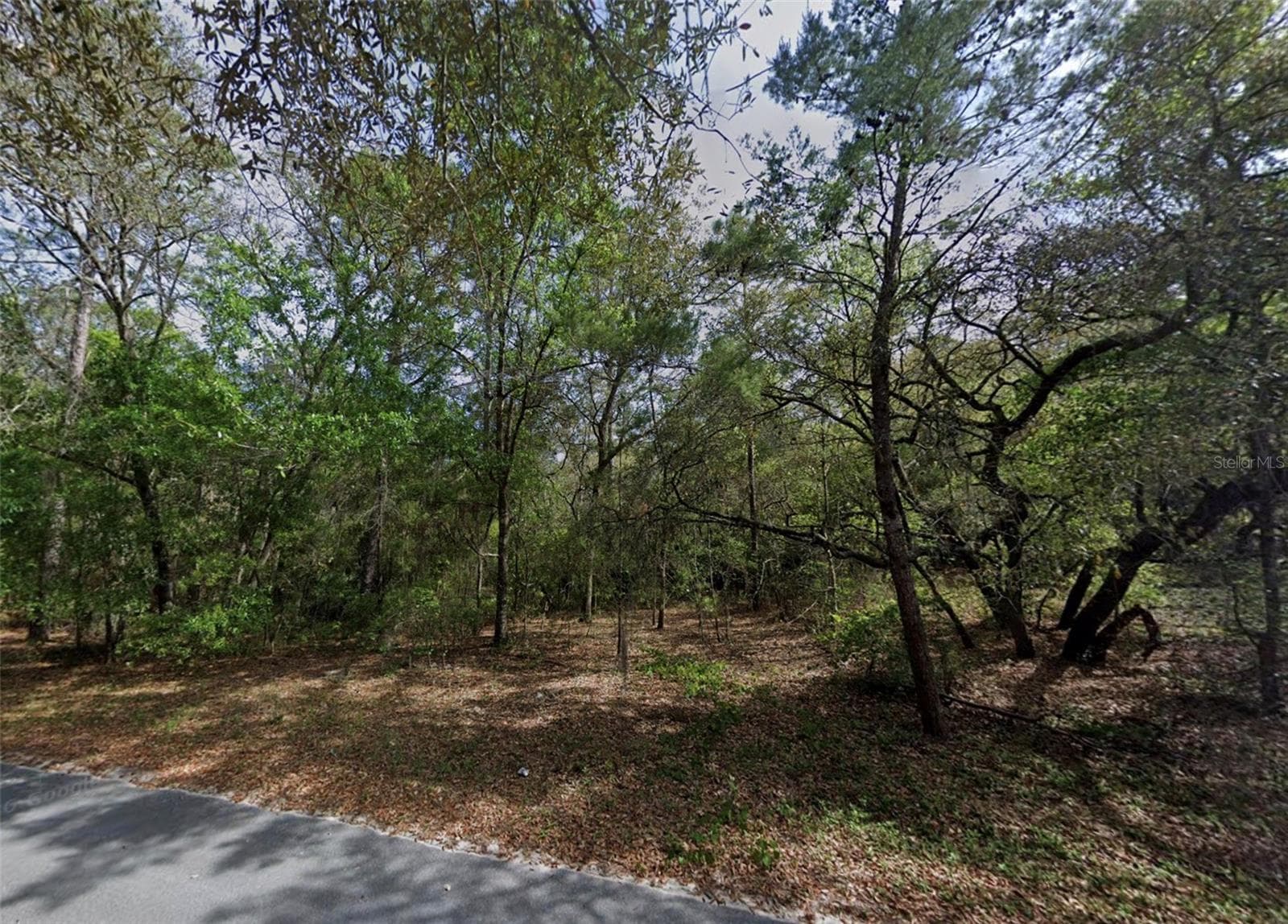 Land at 139 SILVER BEACH BLVD, POMONA PARK, photo 2 of 5
