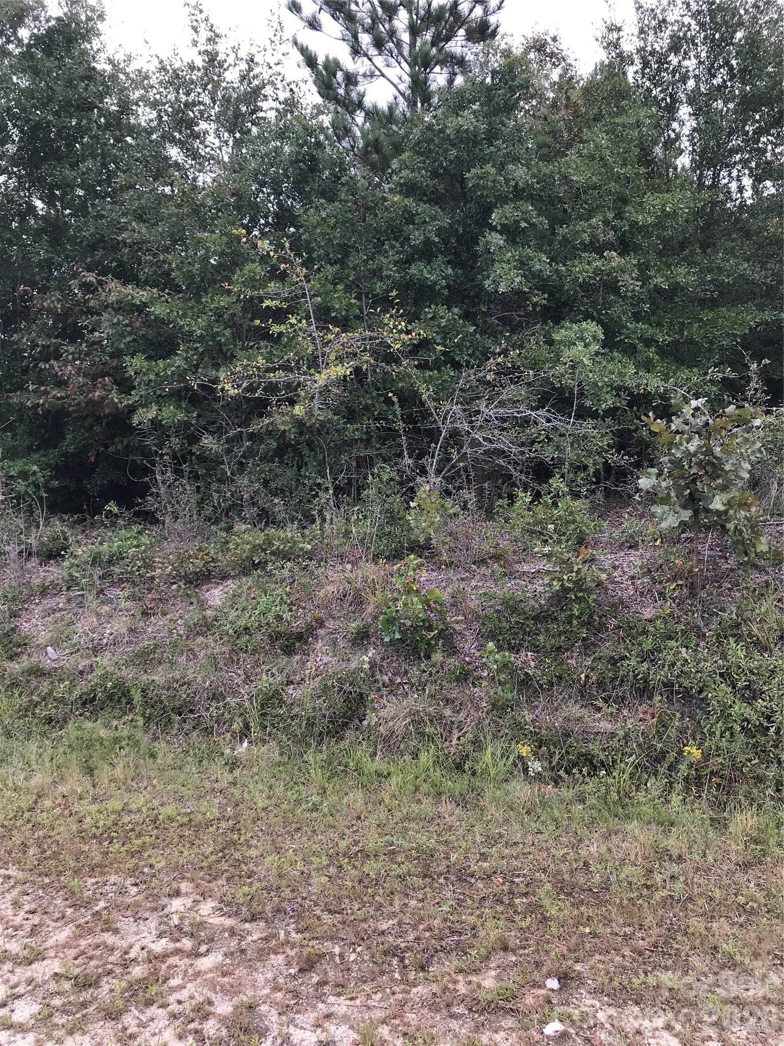 4090 Travellers Road