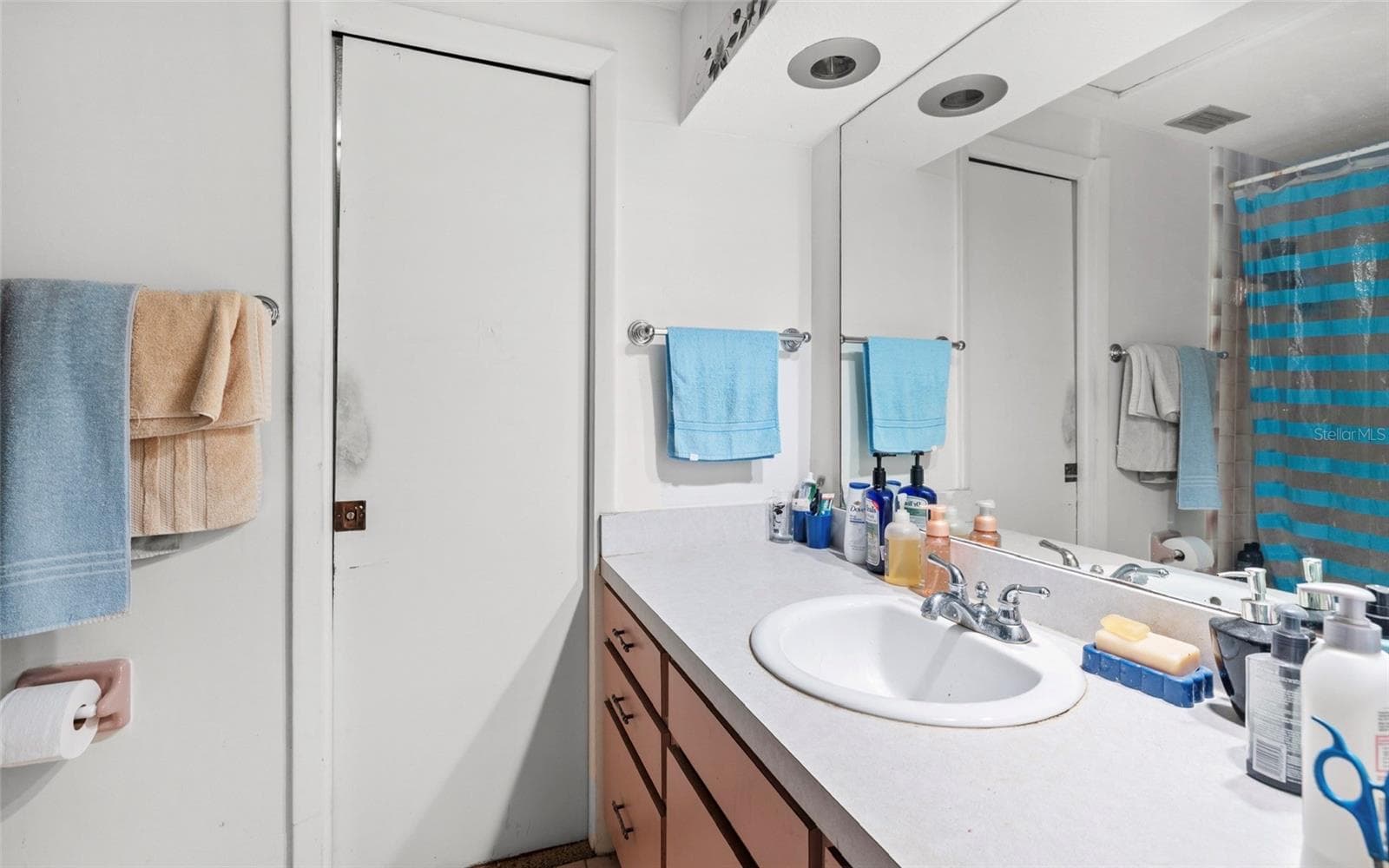 jack and Jill bathroom between bedrooms 2 and 3 - 8602 N ROME AVE, TAMPA