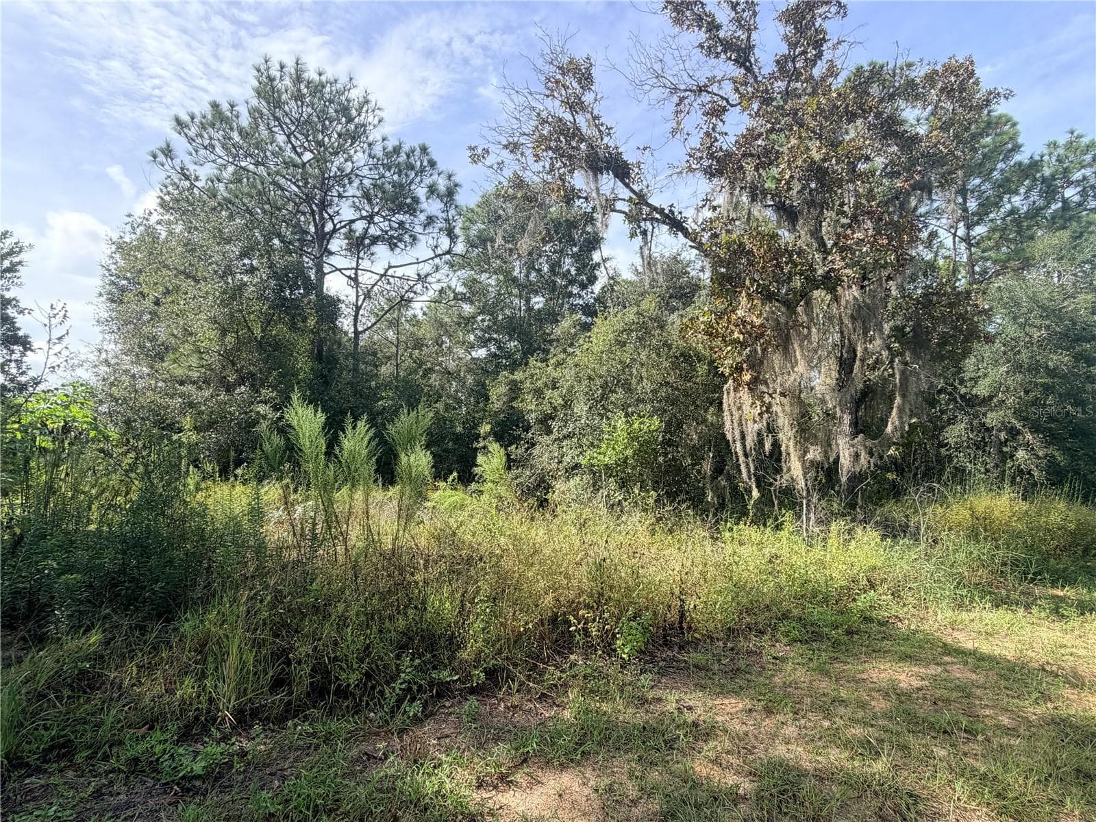 Land at 5066 E ANNA JO DR, INVERNESS, photo 2 of 4