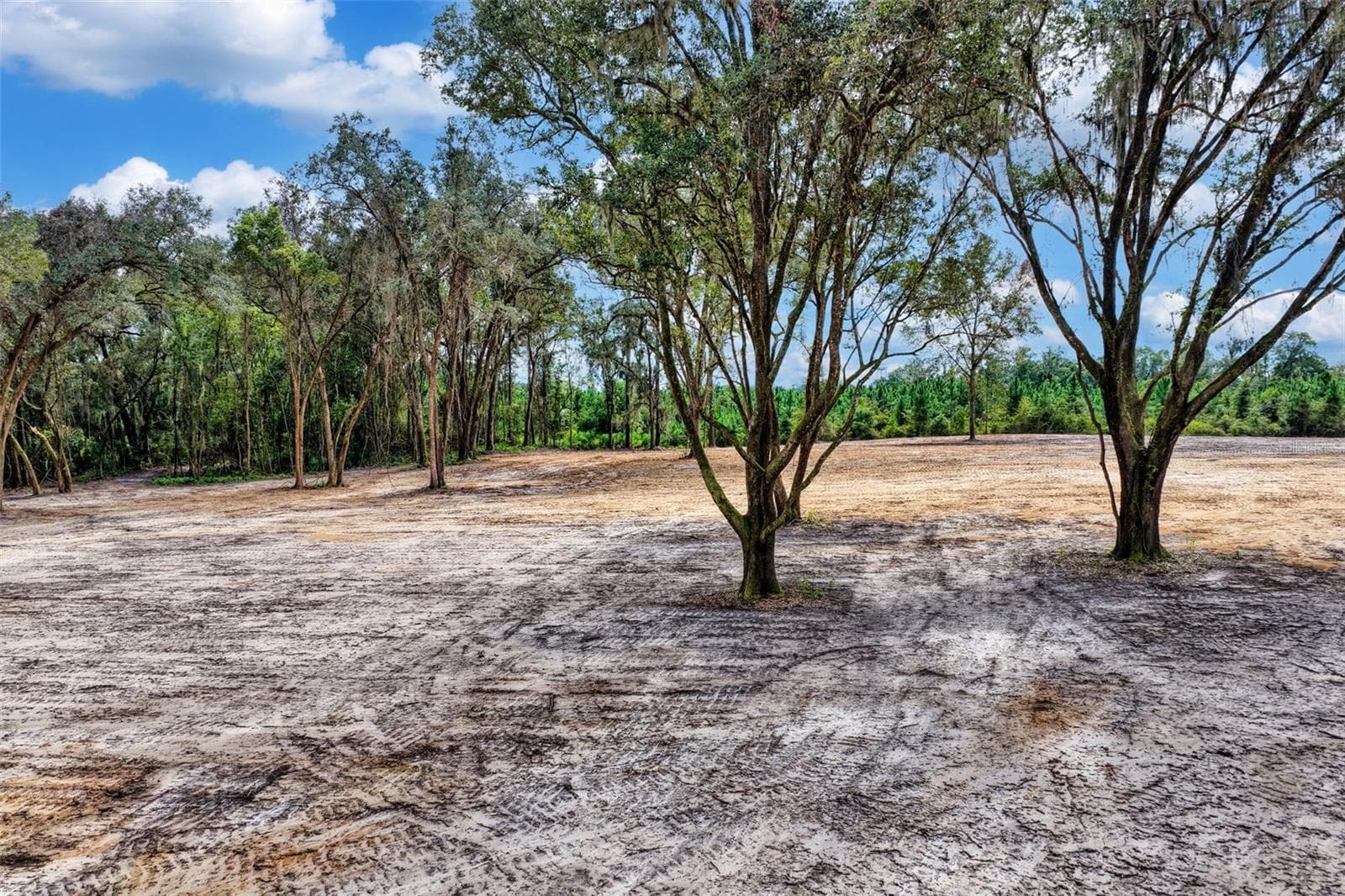 Land at 12207 SW STATE ROAD 45, ARCHER, photo 10 of 23