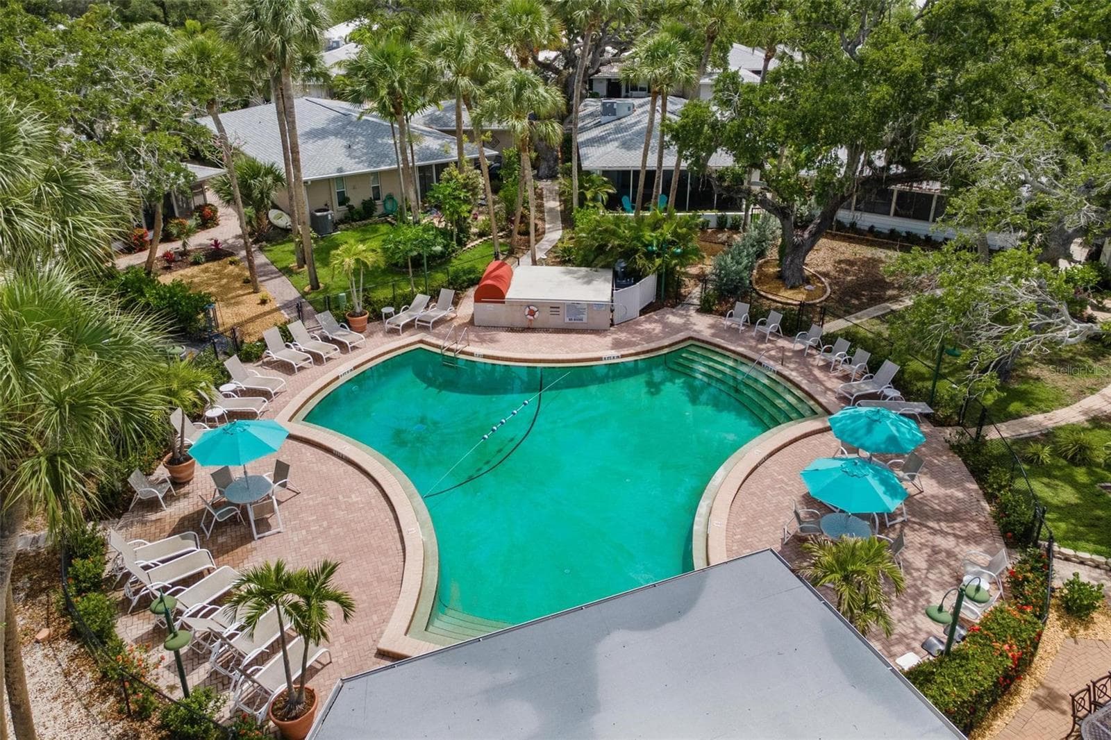Community Pool - 1229 MOONMIST CIR #P6, SARASOTA
