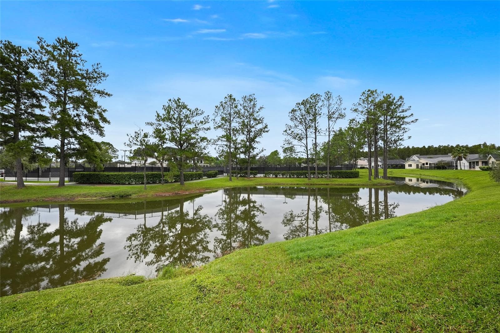 Single Family Residence at 18823 WIMBLEDON CIR, LUTZ, photo 35 of 43