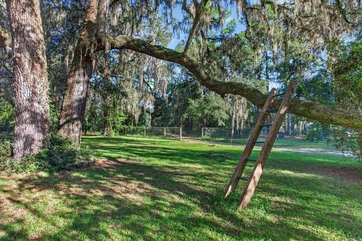 Single Family Residence at 6917 NW 254TH AVE, ALACHUA, photo 31 of 32