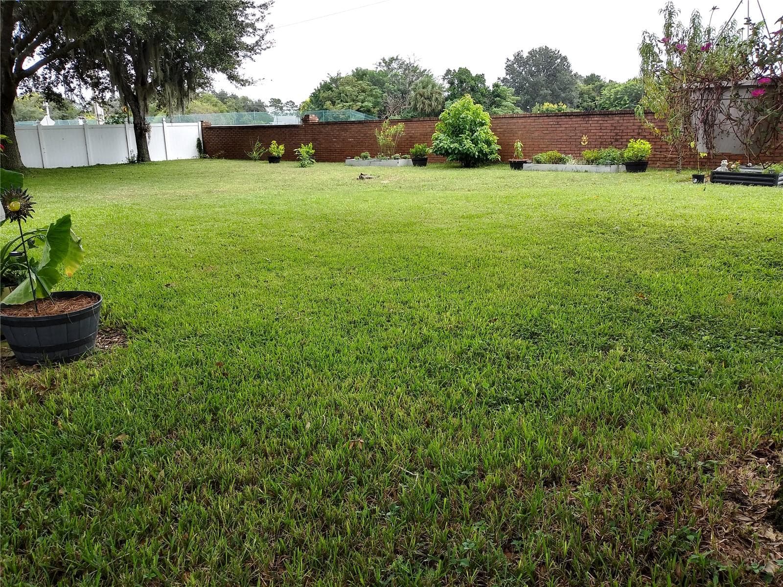 Single Family Residence at 625 RED PEPPER LOOP, CHULUOTA, photo 62 of 82