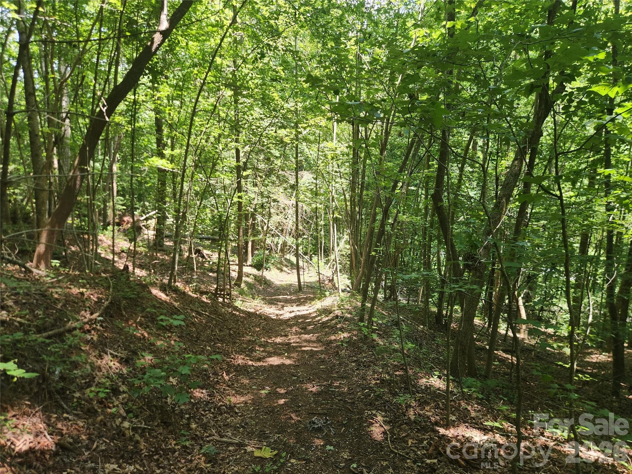 Acreage at 2003 Zacks Fork Road, Lenoir, photo 2 of 26