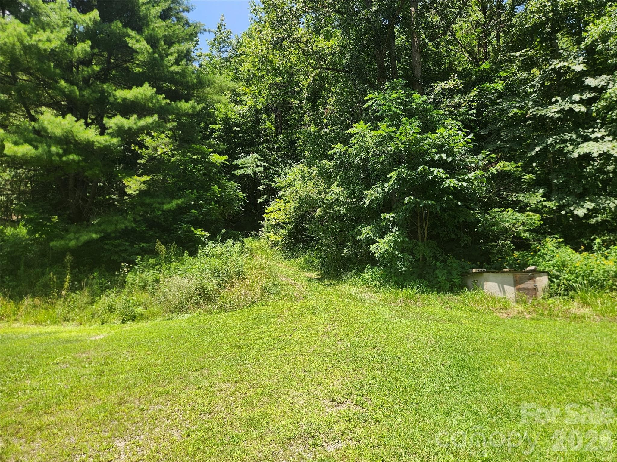Acreage at 2003 Zacks Fork Road, Lenoir, photo 4 of 26