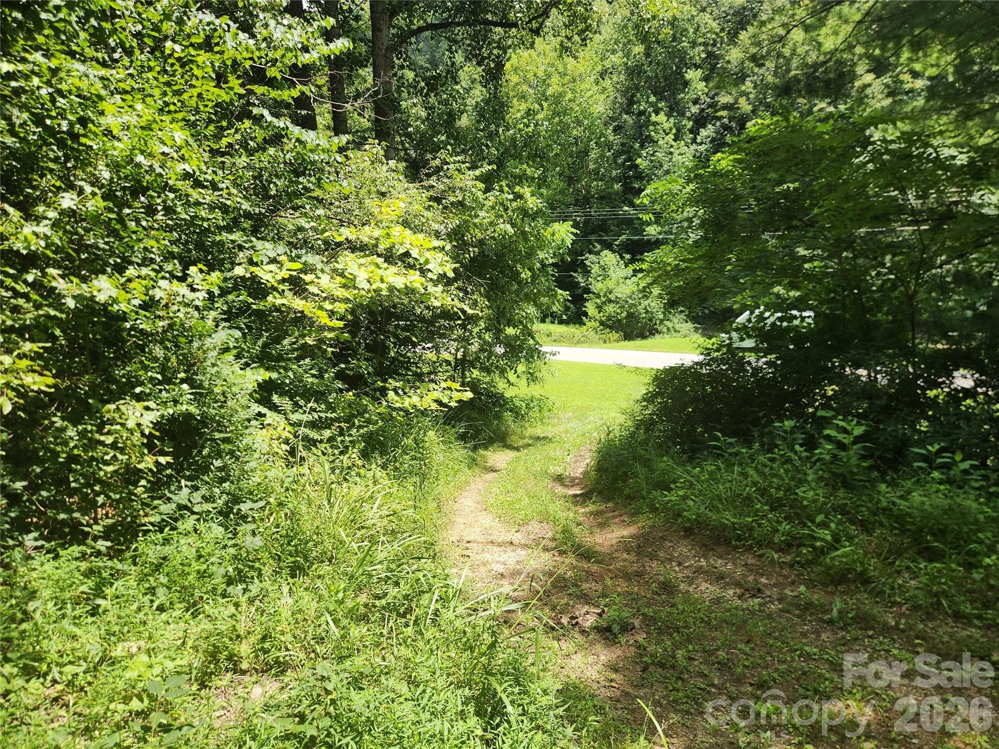 Acreage at 2003 Zacks Fork Road, Lenoir, photo 5 of 26