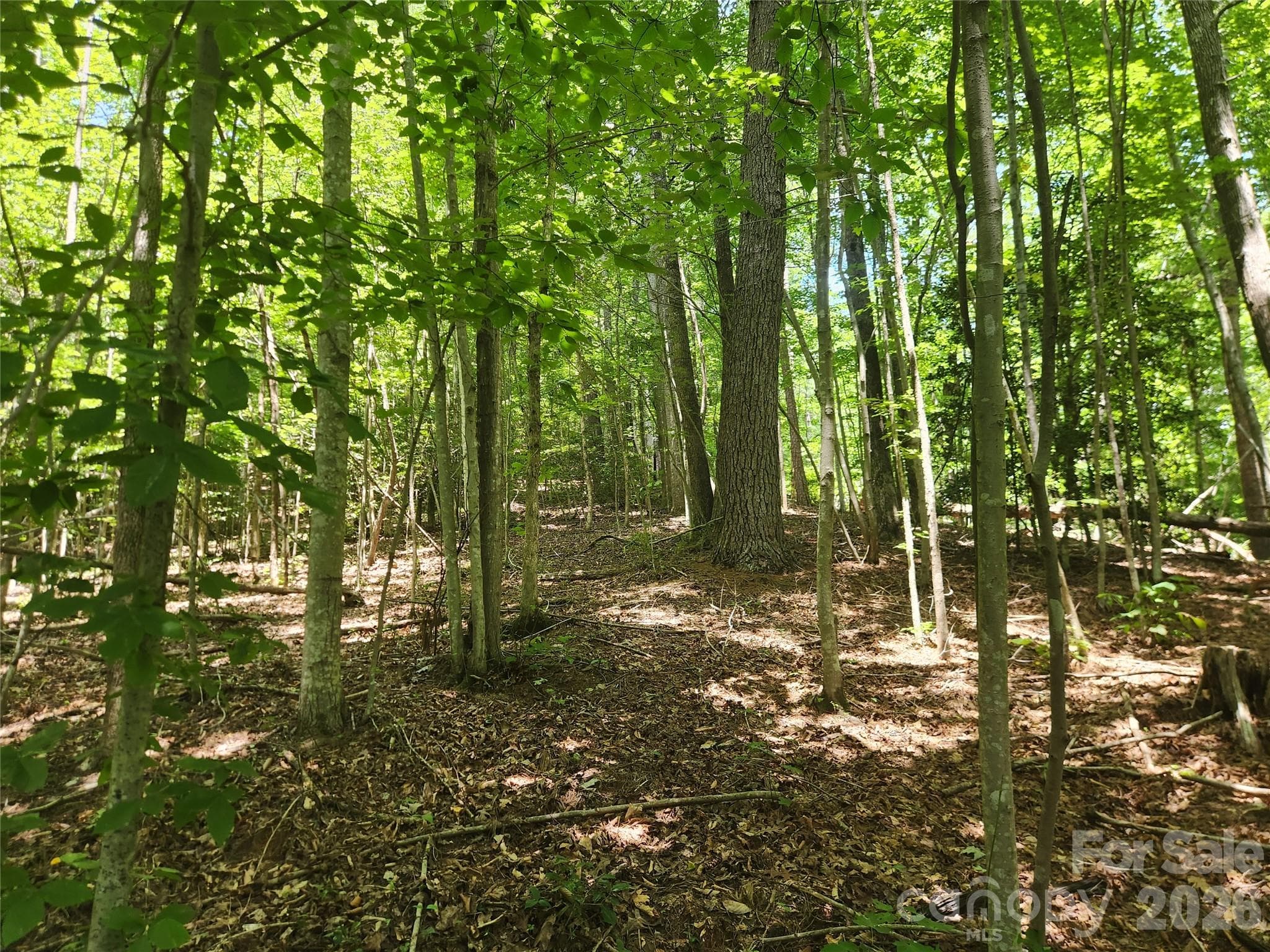 Acreage at 2003 Zacks Fork Road, Lenoir, photo 6 of 26