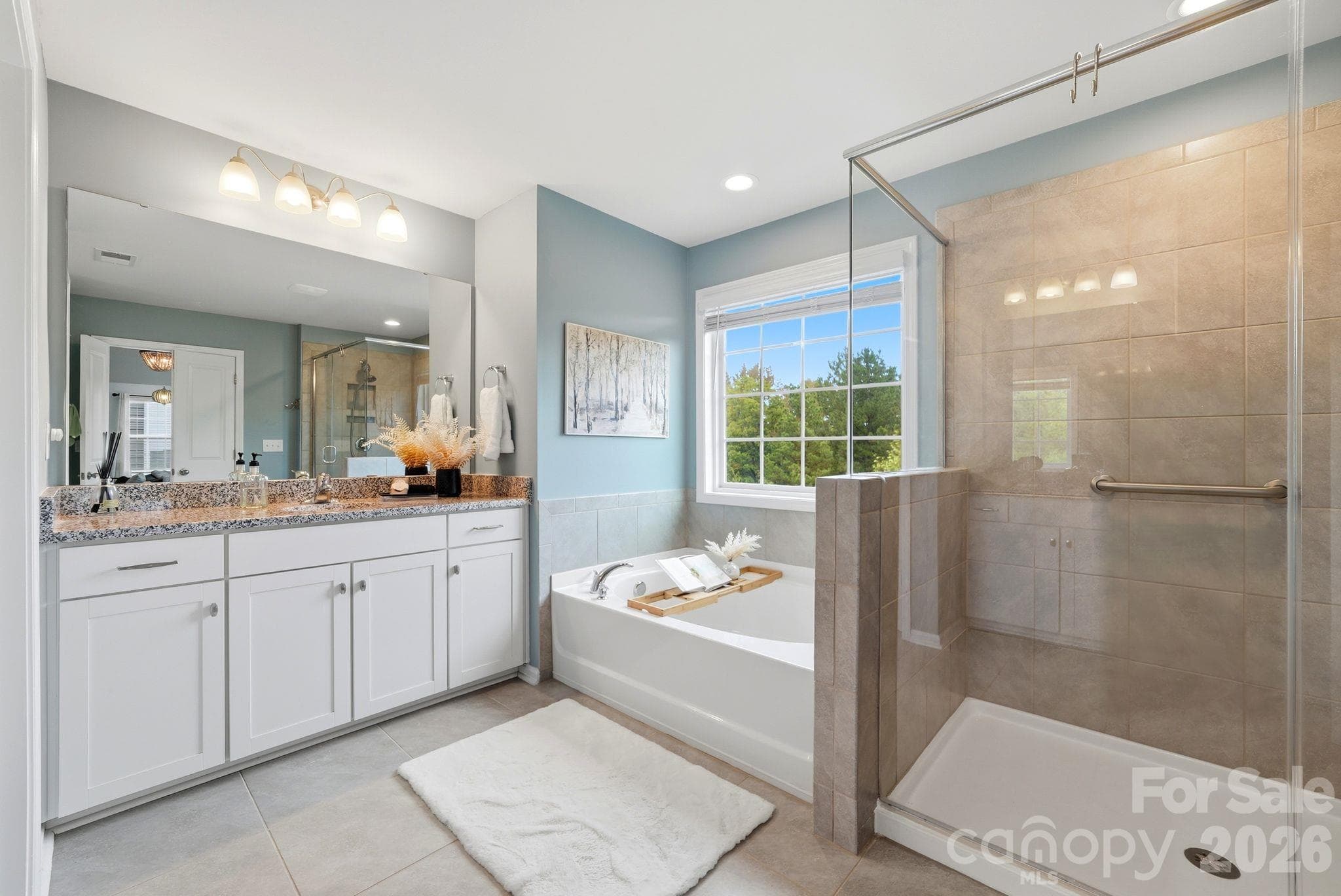 Primary - 2029 Burton Point Court, Waxhaw