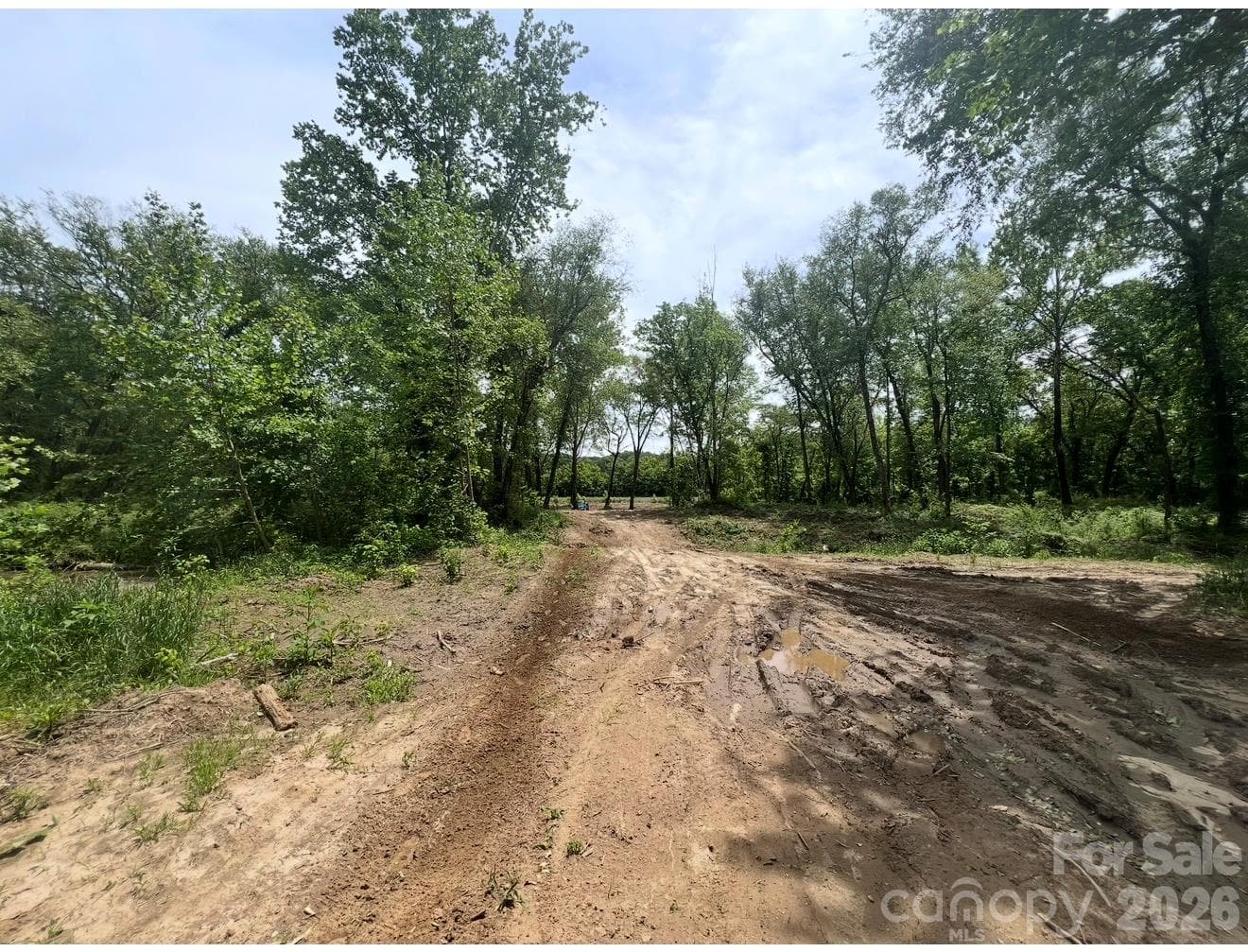 Acreage at 4837-4497 OLD GREENLEE Road, Marion, photo 6 of 8