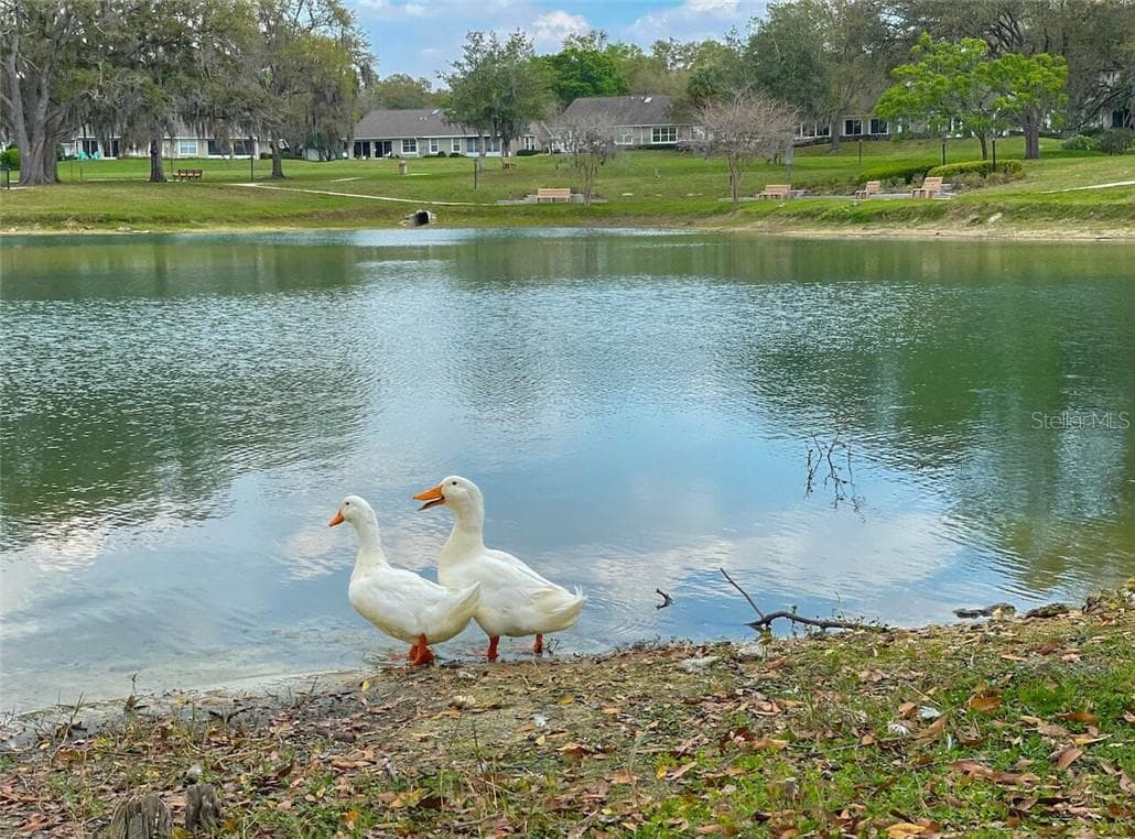 Hillcrest Village - 1635 N Marlborough LOOP, CRYSTALRIVER FL 34429, Crystal River