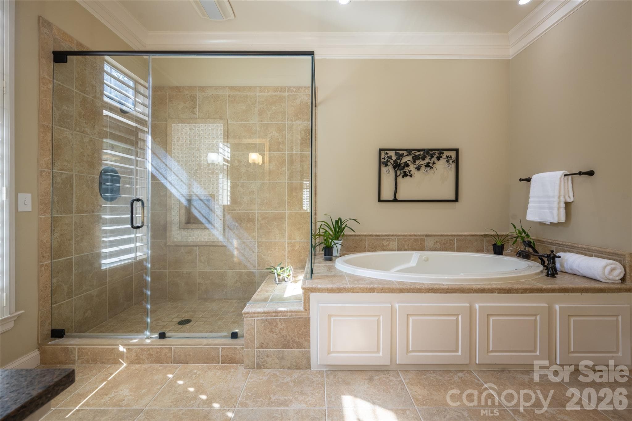 Walk in shower and large soaking tub - 288 Macon Avenue, Asheville