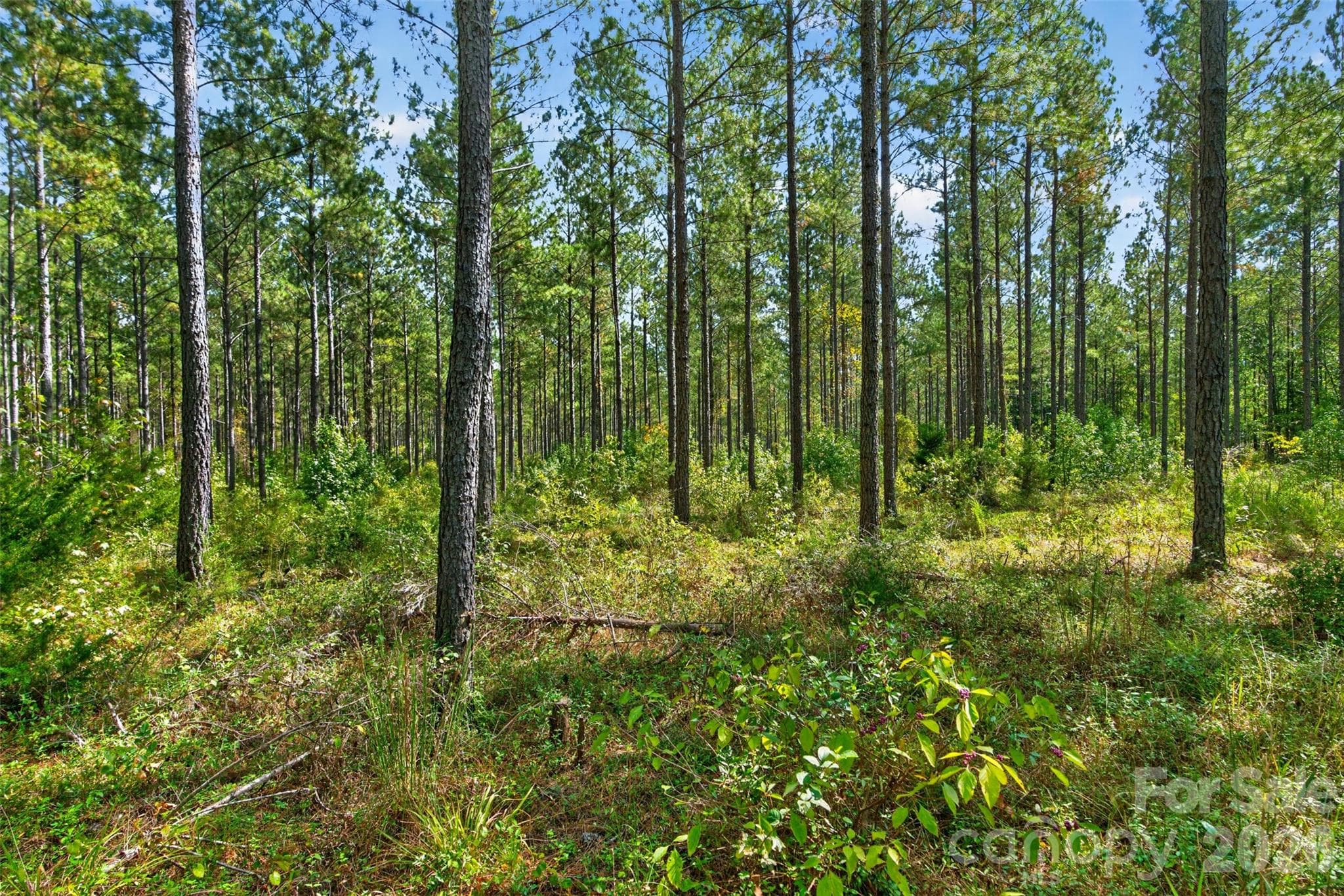 Acreage at 0000 Garvin Road, York, photo 4 of 36