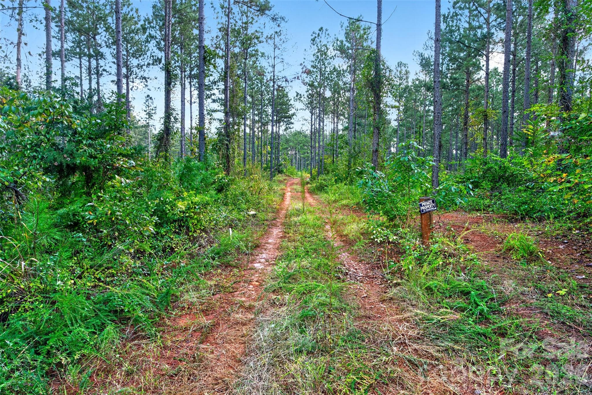 Acreage at 0000 Garvin Road, York, photo 23 of 36