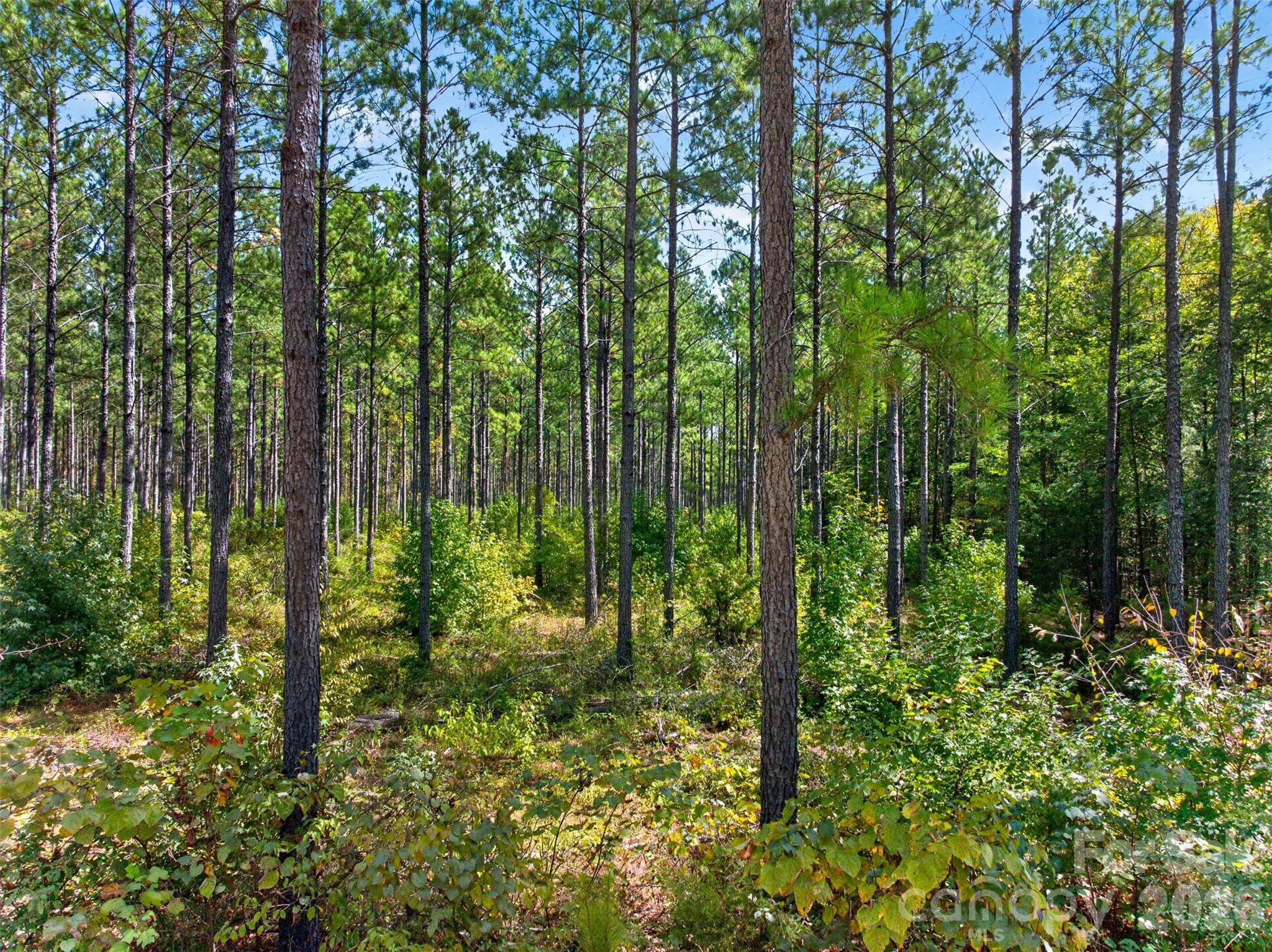 Acreage at 0000 Garvin Road, York, photo 29 of 36