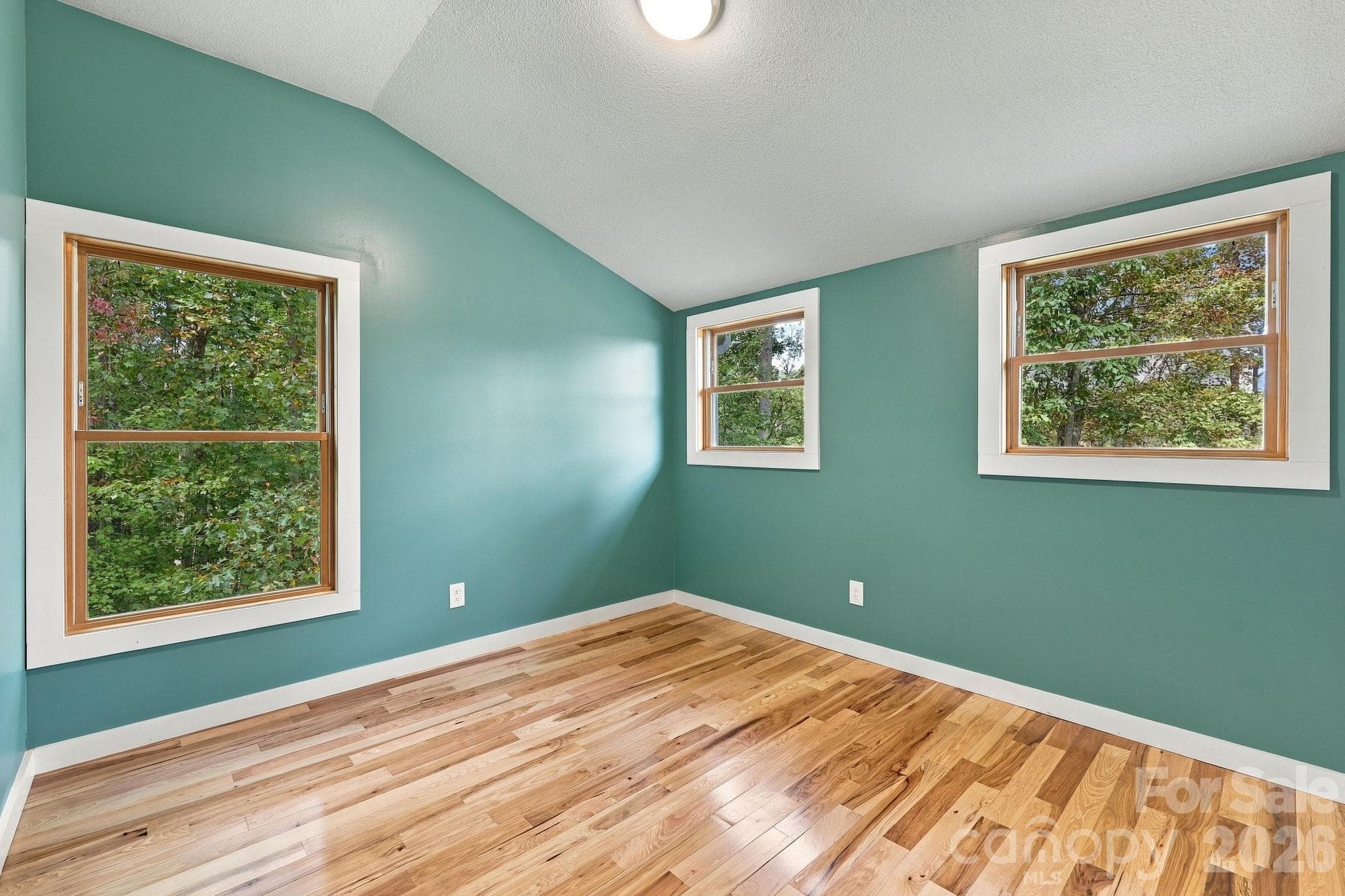 Single Family Residence at 15 Shytle Lane, Fletcher, photo 22 of 40