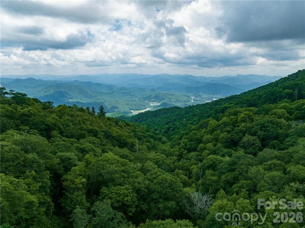 Lot at Sylva, photo 8 of 24