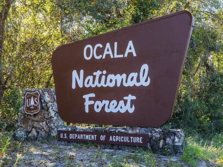 Beautiful Nature in your backyard - Ocala National Forest - 13 LOCUST LOOP CRSE, OCALA