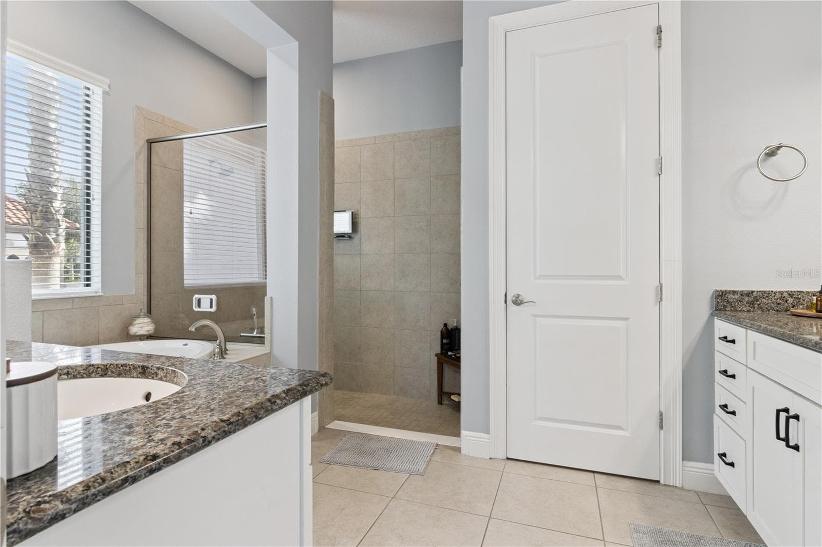 Single Family Residence at 20109 POND SPRING WAY, TAMPA, photo 22 of 51