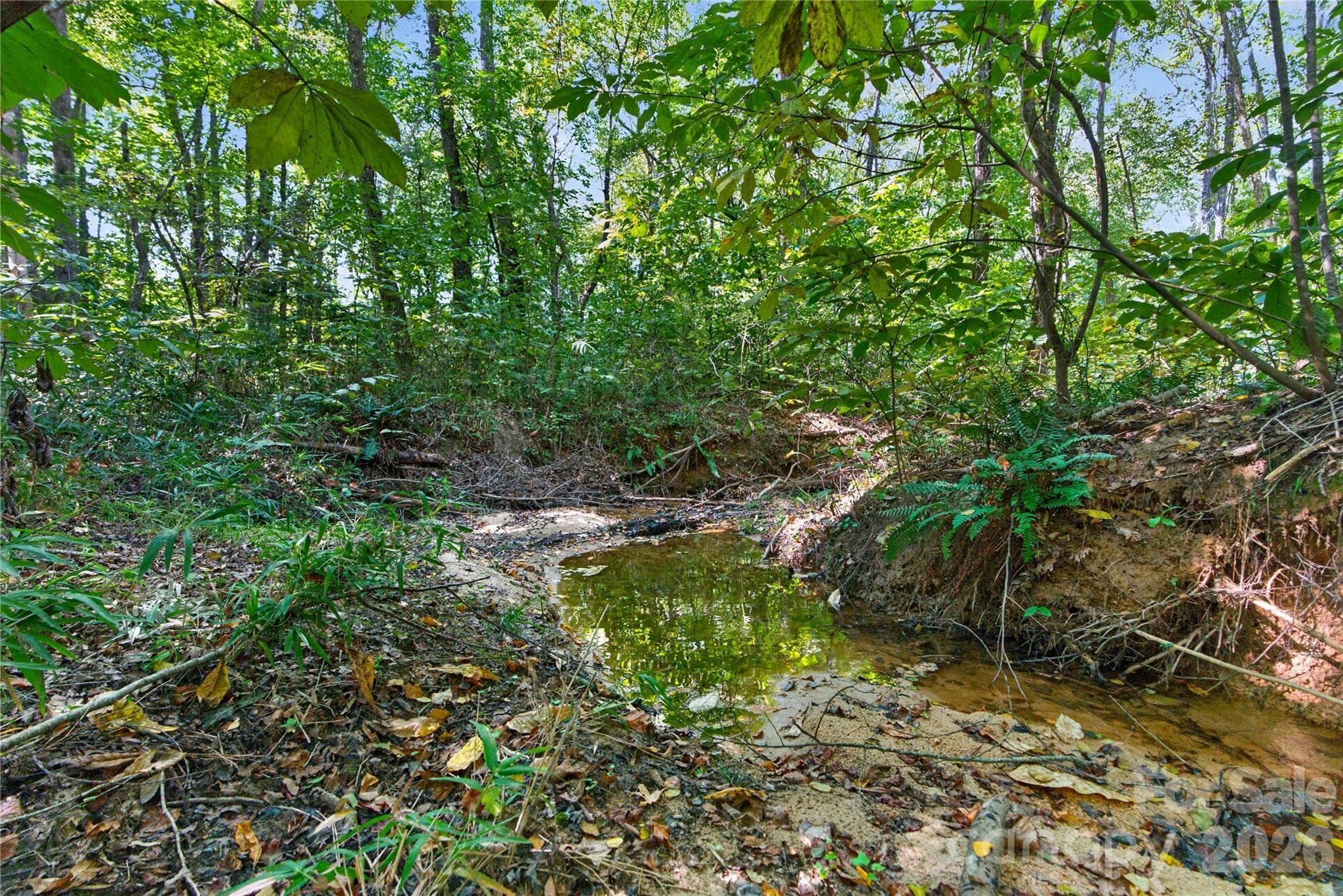 creek and hardwoods along the northern border of the property - 0000 Narrow Bridge Road, Chester