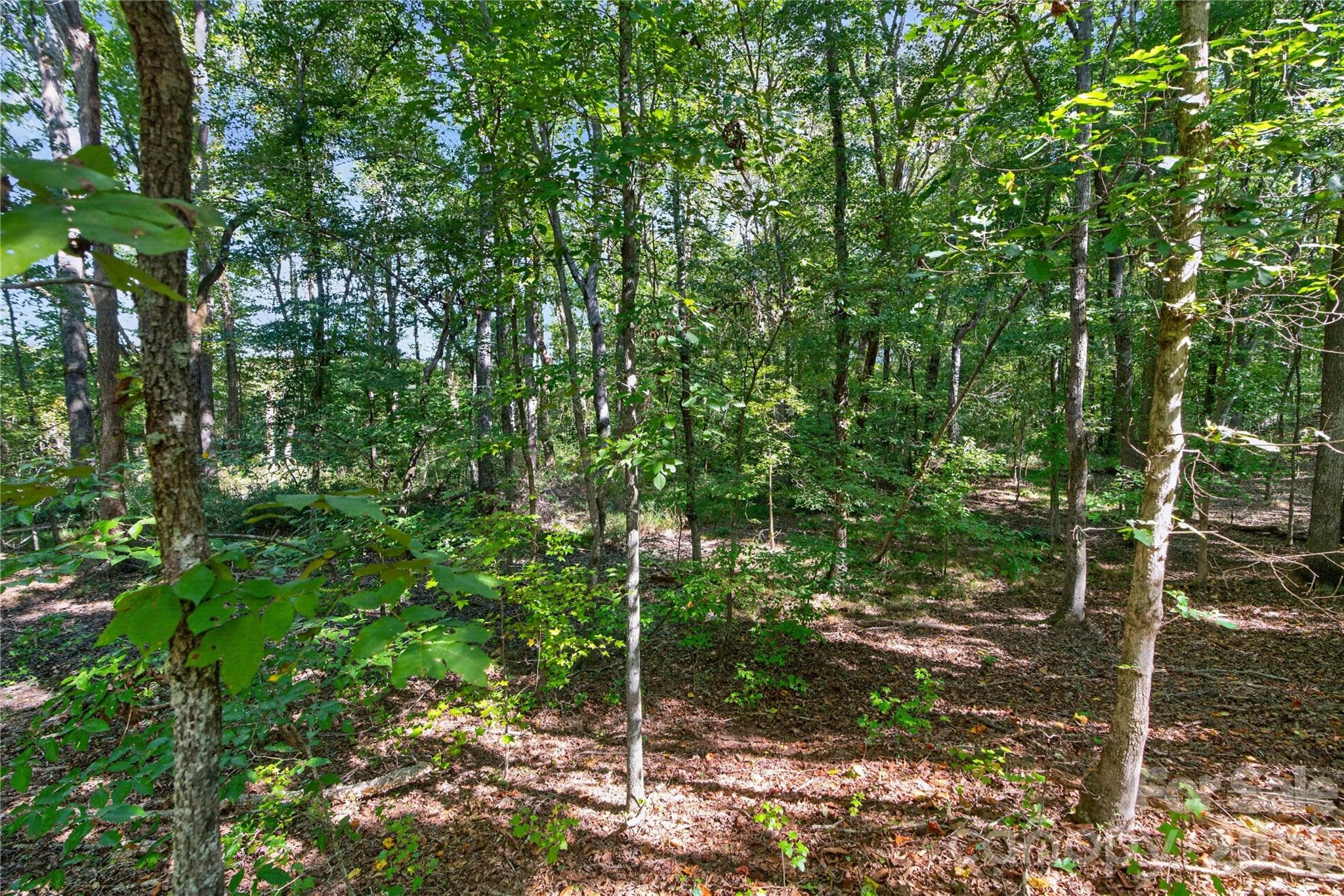 Acreage at 0000 Narrow Bridge Road, Chester, photo 8 of 36