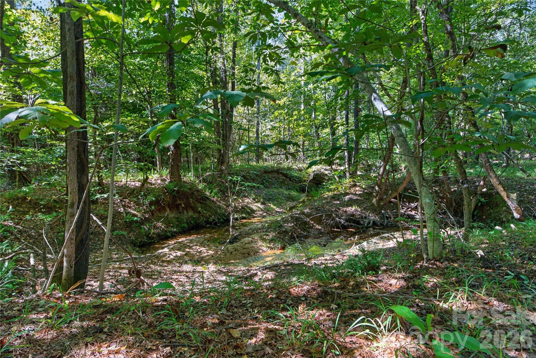 Acreage at 0000 Narrow Bridge Road, Chester, photo 17 of 36