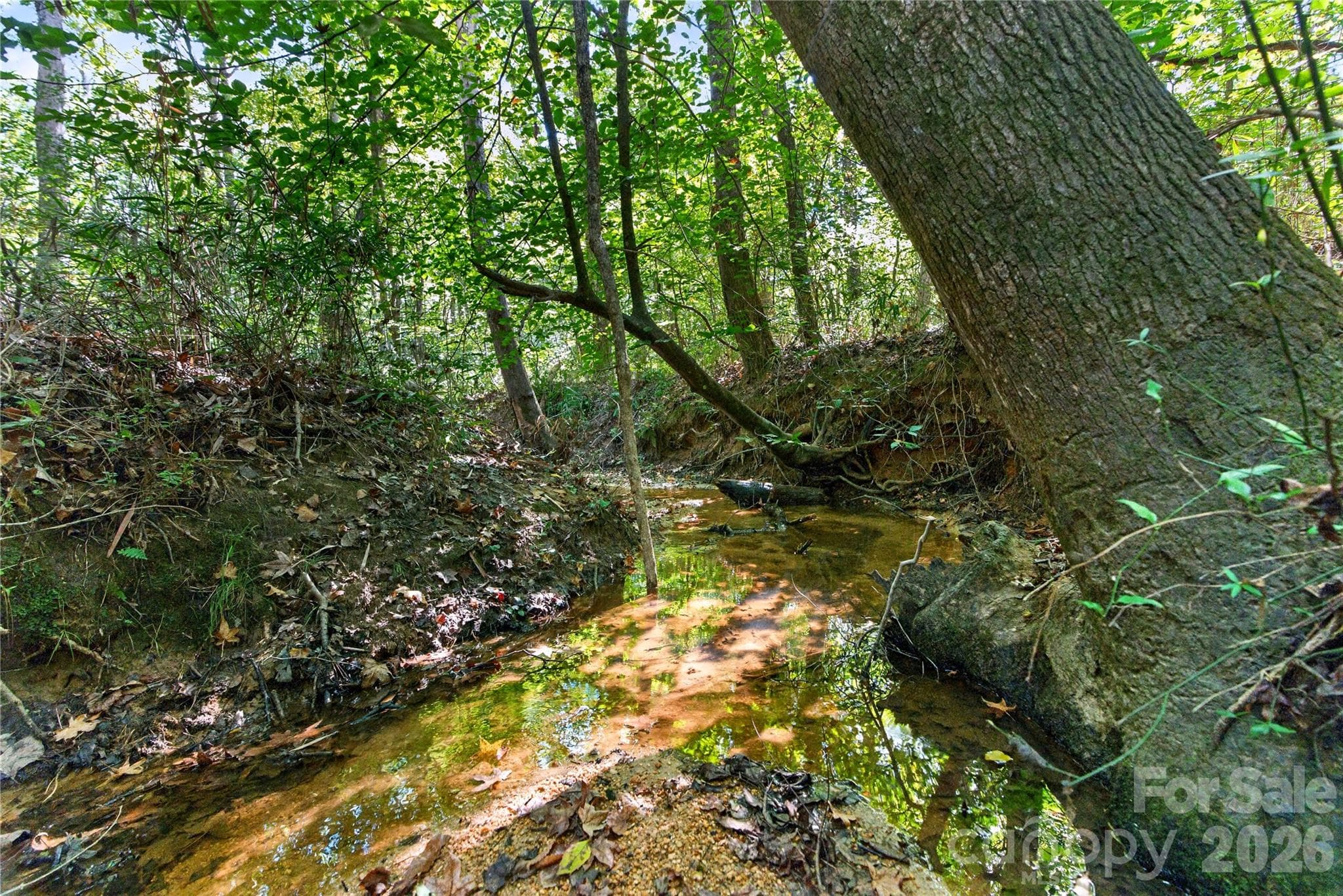 Acreage at 0000 Narrow Bridge Road, Chester, photo 23 of 36