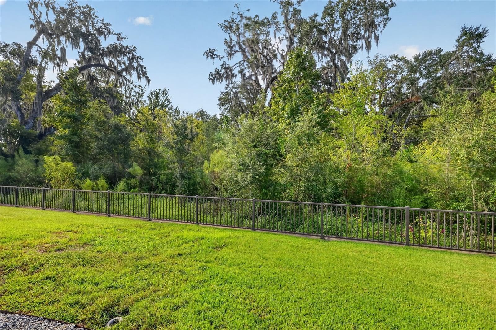 Rear Yard with TRANQUIL PRERVE VIEWS - 3254 ZIPPERER WAY, THE VILLAGES